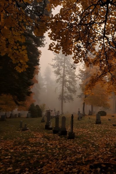 foggy graveyard with headstones in the foreground and autumn leaves on the ground Grunge Halloween Aesthetic Dark Autumn, Fall Mood Board, Season Of The Witch, Big Bang, saddle brown