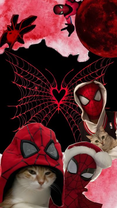 a cat wearing a spider man costume next to two other cats in front of a red background Halloween Spider Man Cat, Spiderman Comic, Marvel Avengers, Avengers, Spiderman, Marvel, maroon