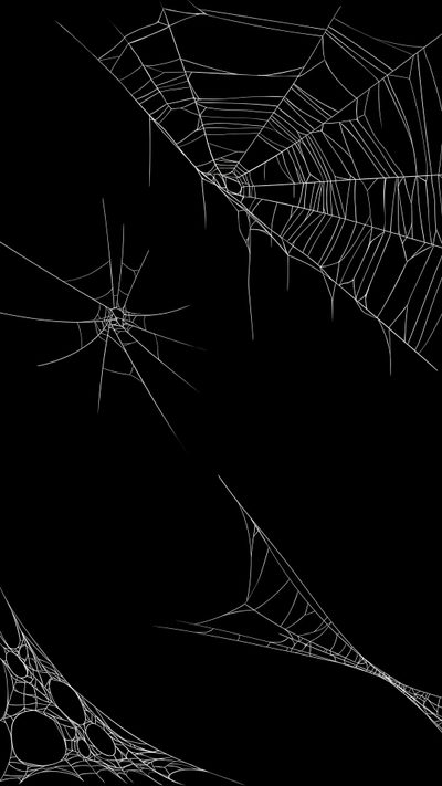 spider webs are shown in black and white Spider Web Halloween Spider Background Aesthetic, Iphone Black Spider Web, Old Spider Web,