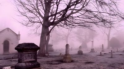 𝘯𝘰𝘵 𝘮𝘪𝘯𝘦 <3 #halloween #pink #cute #creepy #spooky #ideas #october #kawaii #scary #theme Cute Graveyard Background, Cemetery Background Aesthetic, Graveyard Background Aesthetic, Foggy Cemetery Background, Kawaii Graveyard, Graveyard Bg, Purple Misty Cemetery Scene, Pink Goth Aesthetic Wallpaper Laptop, Pink Cemetery Pink Halloween Laptop Cute Graveyard Background, Cemetery Background Aesthetic, Graveyard Background Aesthetic, rosy brown