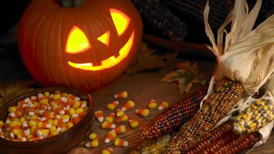 corn on the cob and pumpkins with jack - o'- lanterns in the background Halloween Candy Hd Pumpkin Cover Photo Facebook, Candy Corn Background Hd, Pumpkin Patch Background Hd, maroon
