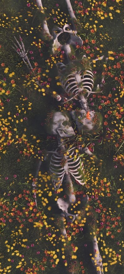 an aerial view of two skeletons in a field of flowers Halloween Iphone Skeletons Iphone Skeleton Aesthetic, Backgrounds Aesthetic Skeleton, Aesthetic Skeleton Iphone, dark slate gray