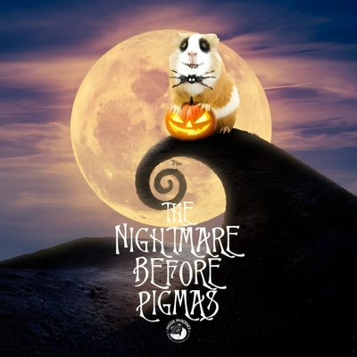 a rat sitting on top of a hill with a pumpkin in its mouth and the words, the nightware before pimpyrs Halloween Guinea Pig Halloween Guinea Pig Drawing, Guinea Pig Ghost, Guinea Pig For Computer, dark slate gray