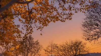 the sun is setting behind some trees Halloween Sunrise Autumn Aesthetic Pc, Autumn Landscape Desktop Background, Autumn Park Desktop, sienna