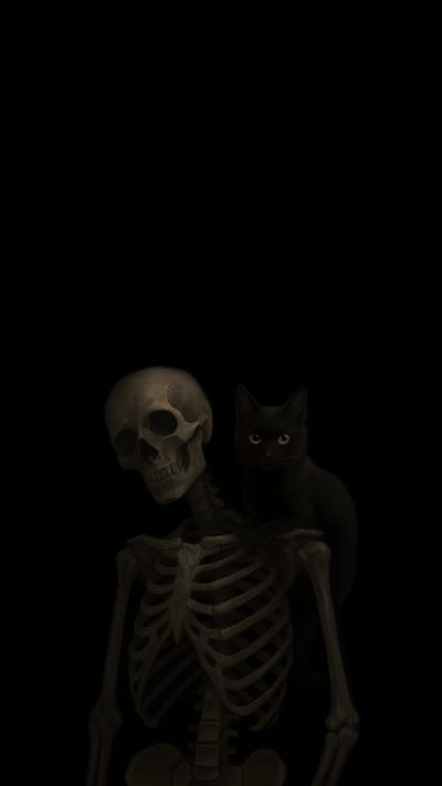 a cat sitting on top of a skeleton in the dark Halloween Skeleton Cat Halloween Iphone Backgrounds, Black Cat Aesthetic, Cute Cat Memes,