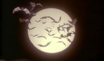 bats flying in front of a full moon Aesthetic Halloween Gif Bat Aesthetic Dark, Cryptid Aesthetic, Dark Academia Bat, Spooky Goth Aesthetic, black
