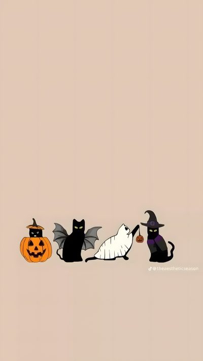 three black cats and one white cat are in front of a pumpkin with bats on it Halloween - Bats And Cats - Cream Thanksgiving Cat, Halloween, Phone Backgrounds, Apple Watch, Phone, silver
