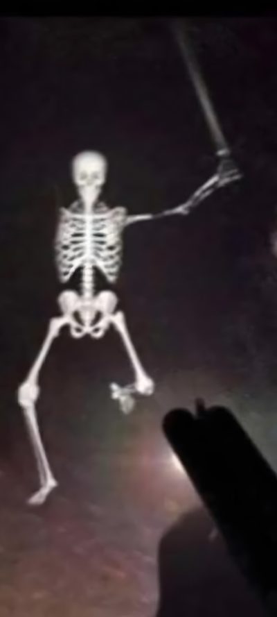 a skeleton is standing in the dark with its arms outstretched Goofy Ahh Halloween Mewing Skeleton, Black Ghost Meme, Ahh Skeleton, Thick Skeleton, Cursed Skeletons,