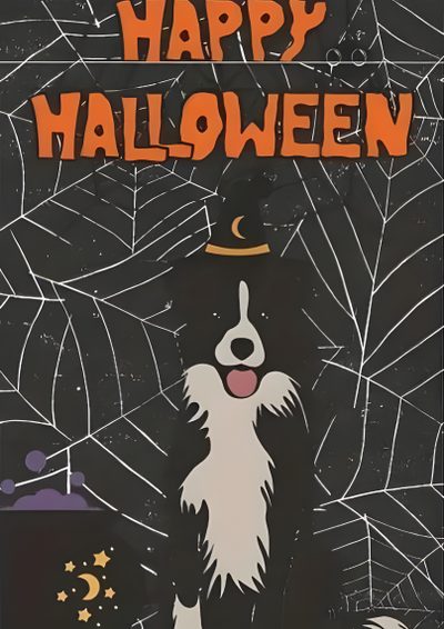 a happy halloween card with a border collie dog in front of a spider web Halloween Border Collie Halloween Background With Dog, Border Collie Halloween Background, Hollowshot Border Collies, dark slate gray
