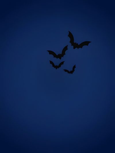 two bats flying in the dark blue night sky with no one on it's wings Halloween Blue Dark Blue Scary Background, Blue Fall Aesthetic, Blue Scary Background,