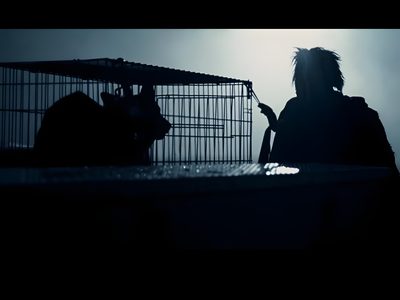 a person standing next to a cat in a cage Halloween 2 2009 2007 Michael Myers, Rob Zombie Halloween Movie, Rob Zombie Halloween Laurie, black