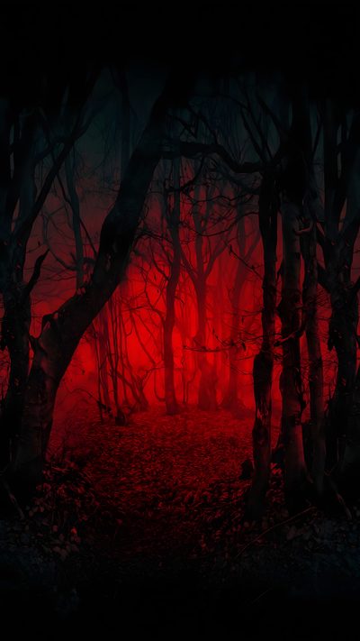 a dark forest with red light coming through the trees Red Halloween Iphone Red Dark Forest, Red And Black, Schöne Hintergründe, Blood Red Forest Background,