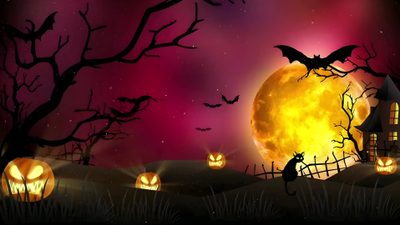 halloween scene with pumpkins and bats in front of a full moon Halloween Gif Pc Halloween Cemetery Background 4k, Animated Halloween Haunted House Background, Halloween Spooky Sounds, maroon
