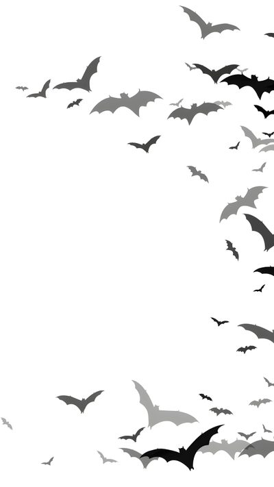 a group of bats flying in the sky Halloween Bats On White Bat Themed Background, Bat Silhouette, Bat Themed Design,