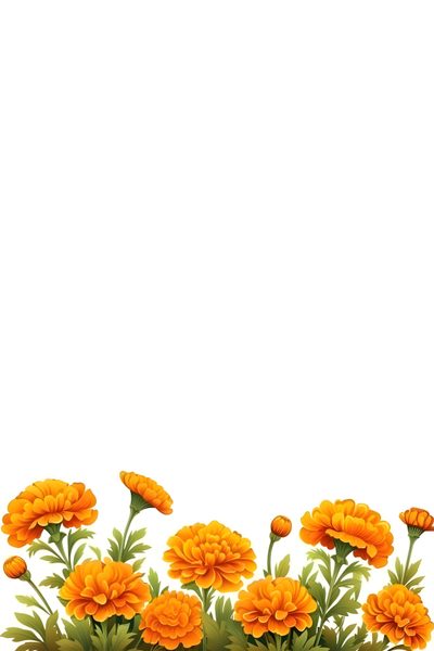 an orange flowered plant with green leaves in front of a white background Halloween Marigold Crumpled Paper Texture Background, Crumpled Paper Textures, Wedding Background, white