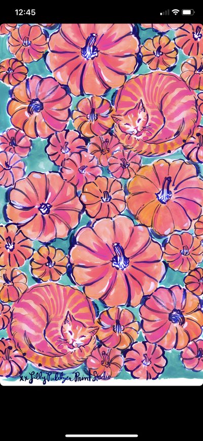 an image of flowers painted on the back of a cell phone screen with texting below Lilly Pulitzer Halloween Fall Lilly Pulitzer, Lilly Pulitzer Phone, Lilly Background, pale violet red