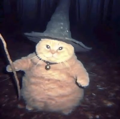 a cat wearing a witches hat and holding a stick Silly Halloween Witch Pfp, Wizard Dog Meme, Christmas Pfps Cats, Wizzard Cat, Evil Wizard Cat, dark slate gray