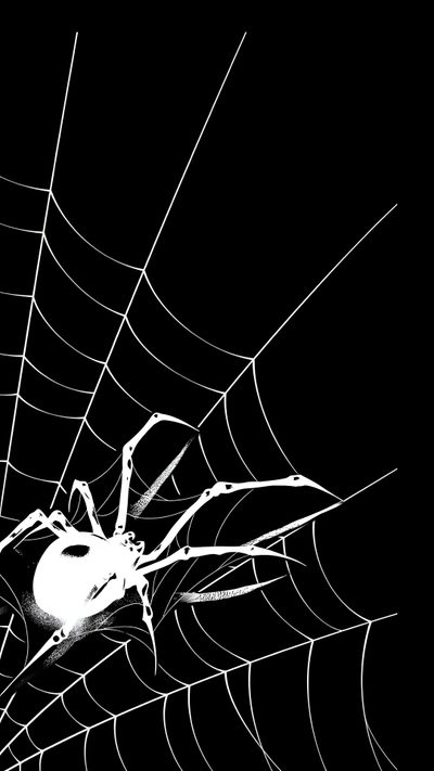 a spider sits on its web in the dark Halloween Iphone Aesthetic Black And White Grafite De Rua, Gothic, Dark Iphone, Superhero,
