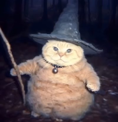 a cat wearing a witches hat and holding a stick Funny Halloween Aesthetic Witch Pfp, Wizard Dog Meme, Christmas Pfps Cats, Wizzard Cat, dark slate gray