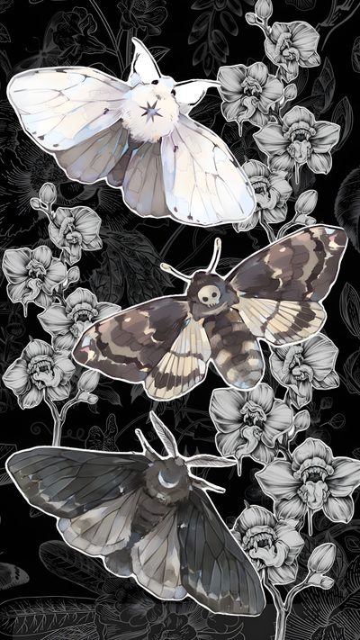 three moths sitting on top of flowers in front of black and white wallpapers Halloween Moth Moth Art, Goblin Art, Goth, Gothic, Aesthetic, Cute Backgrounds For Phones, dark slate gray