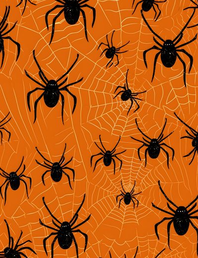 black and orange spider webs on an orange background Halloween Spiders At University Of Texas Halloween, chocolate