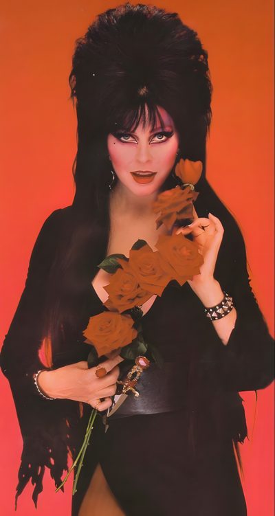 a woman with long black hair holding flowers in her hands and posing for the camera Elvira Halloween Elvira Valentines Day, Elvira Photoshoot, Elvira Pose, Elvira Vintage, saddle brown