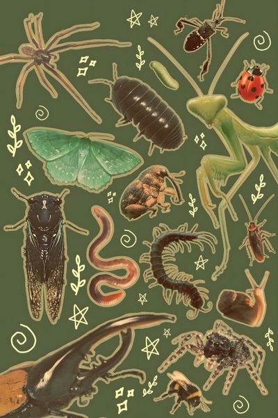 an image of bugs and insects on a green background Halloween Insects Cool Bugs, Pics Art, Cool Art, Bugs And Insects, Phone Backgrounds, dark olive green