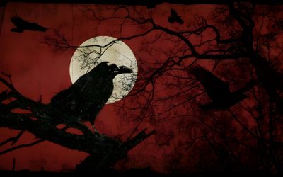 a black bird sitting on top of a tree branch in front of a full moon Dark Halloween Desktop Red Crow, Raven Artwork, Laptop, Red Goth, Red And Black, Red Gothic,