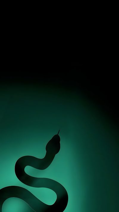 a black snake is glowing in the dark with its tail curled around it's neck Slytherin Halloween Slytherin Aesthetic Iphone, Slitheryn Aesthetic, Slytherin Lockscreen, black