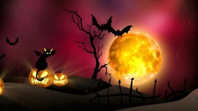 two pumpkins with bats on them in front of a full moon and some trees Halloween Gif Halloween Background 1920x1080, Halloween Laptop Gif, Halloween Cemetery Background 4k, maroon