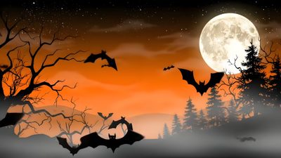 bats flying in front of a full moon with trees and mountains behind it at night Halloween Desktop Gif Pubg M416 Glacier, Halloween Live, Halloween Desktop, saddle brown