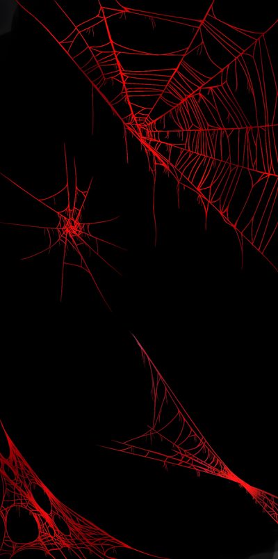 some red spider webs on a black background Halloween Spider Webs Wow Photo, Red Background With Spider Web, Background Red Spider Web, black