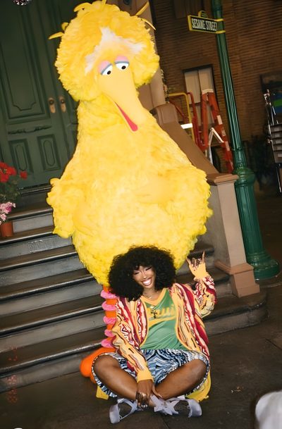 a woman sitting on the ground in front of a big bird mascot with her hands up Sza Halloween Draw Sza, Baby Sza, Sza Costume, Green Sza, Singer, Sza Lockscreen Iphone,
