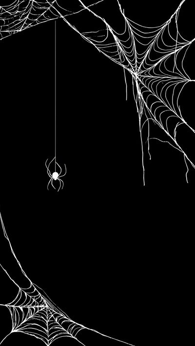 a spider web hanging from the side of a tree branch in front of a black background Spider Halloween Spider Web Design Ideas, Spider Hanging On Web, Spyder Background, Spider, black