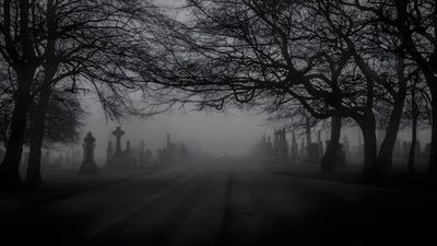 a cemetery with trees and tombstones in the fog Halloween Road Dark Gothic Desktop, Backgrounds Dark Pc, Pc 2560x1440 Aesthetic, dark slate gray