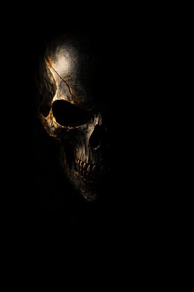 a scary looking skull in the dark Black And Gold Halloween Clever Logo Design, Black And Gold Iphone, Black And Gold Skull, Gold Iphone,