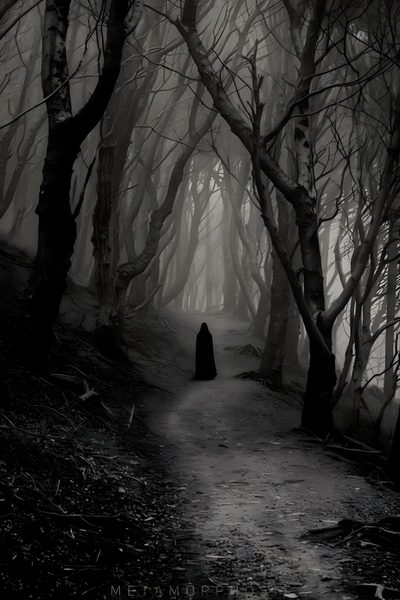 a black and white photo of a person walking down a path in the woods on a foggy day Halloween Not Blurry Horror Place, Spooky Things, Gothic Outdoor Scene, Ghostly Woods, dark slate gray