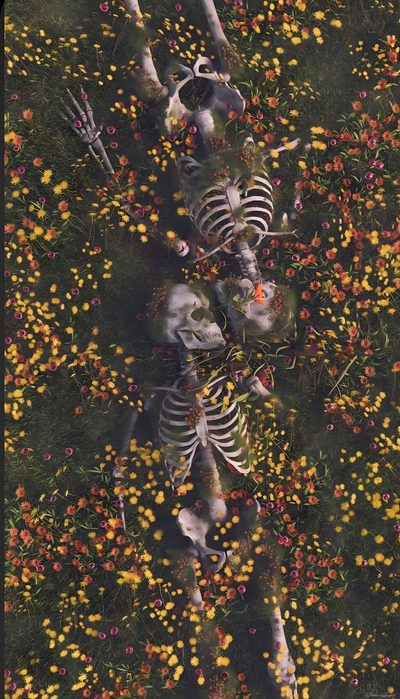 an aerial view of two skeletons in a field of flowers Cute Aesthetic Halloween Skeleton Creative Laptop Background, Dia De Los Muertos Aesthetic, Remember The Flowers, dark slate gray