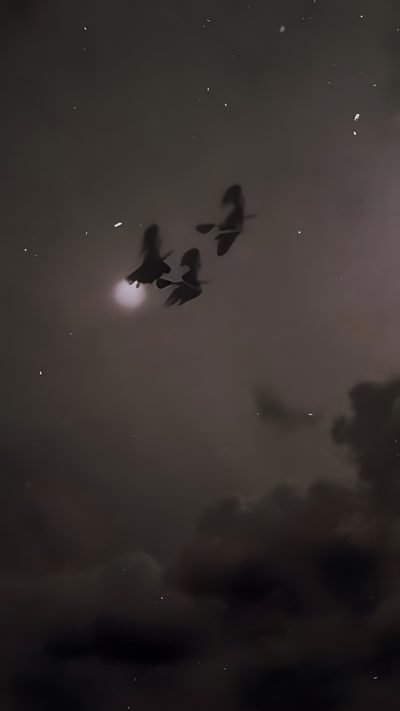 three birds flying in the night sky with stars and clouds behind them on a cloudy day Salem Halloween Aesthetic Dark Halloween Aesthetic, Witch Aesthetic Iphone, Witch Iphone Aesthetic, dark slate gray