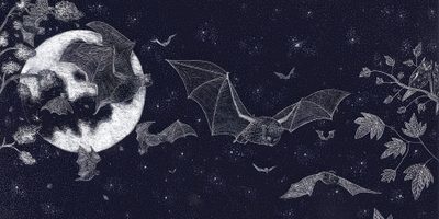 bats flying in the night sky with leaves Halloween Bat For Walls Gothic, The Secret World, Nocturnal Animals, Pen And Ink, Bat, Cute, black