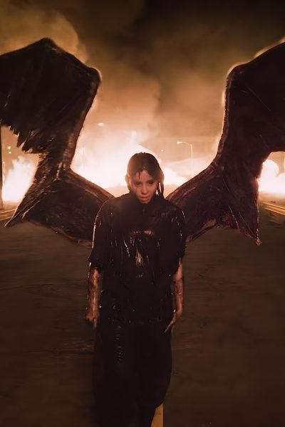 a man with wings standing in front of a fire Halloween Billie Eilish Billie Eilish Outfits, Famous Stars, Cutie Patootie, Jon Snow, Favorite Person, black