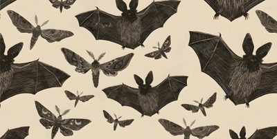 bats and moths are drawn in pencil on paper, which is laid out to look like they're flying Halloween Bat Silhouettes Retro Halloween Bat Print, Bat Print Fabric Design, Gothic Bat Fabric, wheat