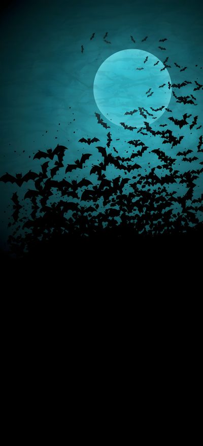 a large group of bats flying in front of a full moon with the sky lit up Blue Halloween Iphone Halloween Phone 4k, Bat Radar Iphone, Bat 4k, Bat Background Hd, Bat Hd, Bats, black