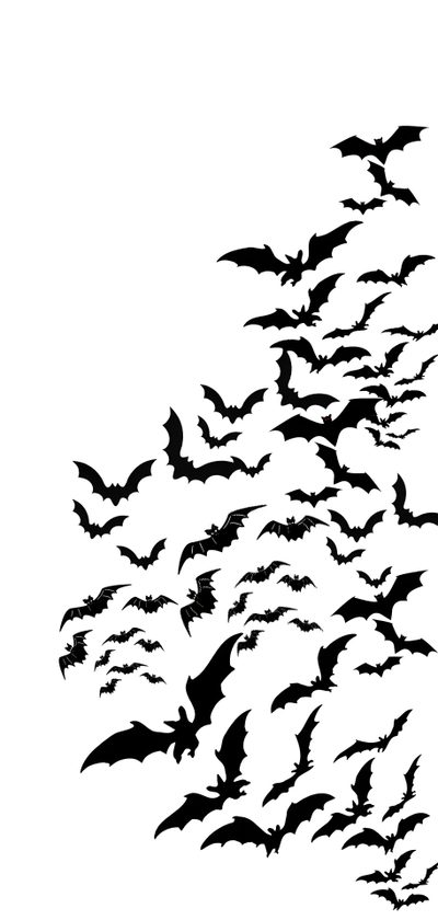 a flock of bats flying in the sky Halloween Bats On White Freaking Bats, Bat Silhouette, Batty, Bats Background, Bats Dark Aesthetic,