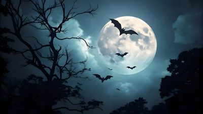 bats flying in front of a full moon Halloween Bats Moon Cartoon Background, Photo To Cartoon, Photo Logo, Halloween Night, Laptop, dark slate gray