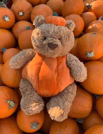 Pumpkin jelly cat 🎃🐻 Autumn Teddy Bear With Pumpkin, Jellycat Bartholomew Bear Pumpkin Jellycat Halloween Autumn Teddy Bear With Pumpkin, Jellycat Bartholomew Bear Pumpkin, sienna