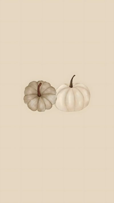 two white pumpkins sitting next to each other on top of a beige background, Aesthetic Beige Halloween Beige Autumn, Fall Icons, Ipad Image, Classy, Phone Vintage, wheat