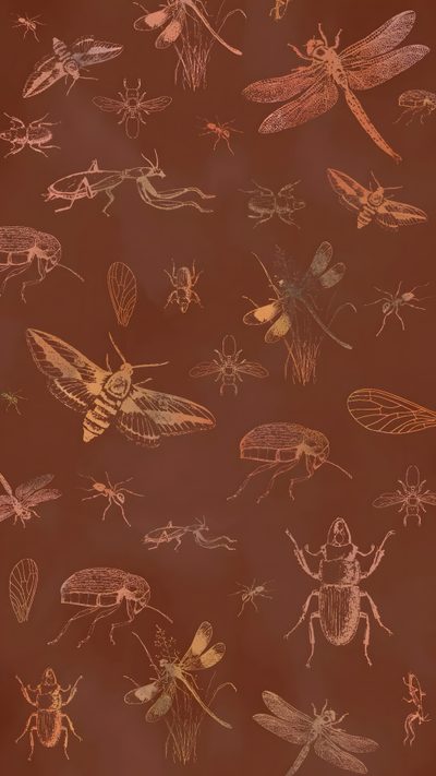 a bunch of bugs and insects on a brown background Halloween Insects Entomology, Insects Background, Holiday Ipad Background, Insect Background, saddle brown