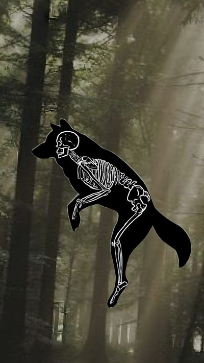 🩷🤍🩷🤍 Art Therian Symbol Art, Therian Print, Therian Posters For Room, Therian Logo Wallpaper, Symbol Wolf Therian Art, Wolf Therian Symbol Wallpaper, Skull Dog Wallpaper, Aesthetic Therian Art, Therian Symbol Background Therian Halloween Art Therian Symbol Art, Therian Print, Therian Posters For Room, dark olive green