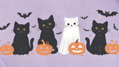 three black cats sitting next to each other in front of halloween pumpkins and bats Cute Halloween Horizontal Halloween Desktop, Halloween, Halloween Cat, Cute Halloween, silver